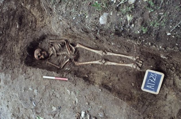 Foto af skelet, der ligger udstrakt i og velbevaret i den åbnede grav. Foto: Ernst Stidsing