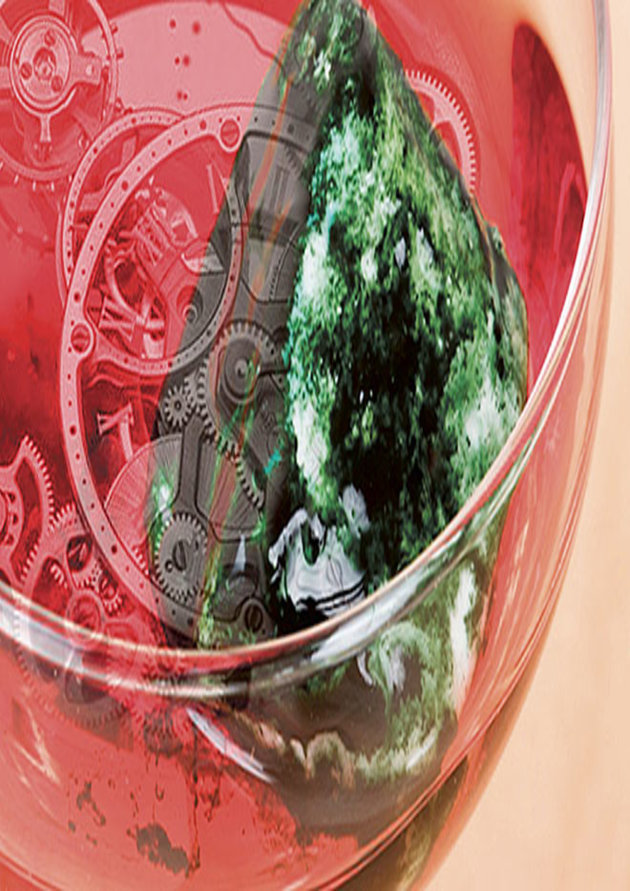 Fotocollage af en glasskål med tandhjul i rød væske og noget grønt