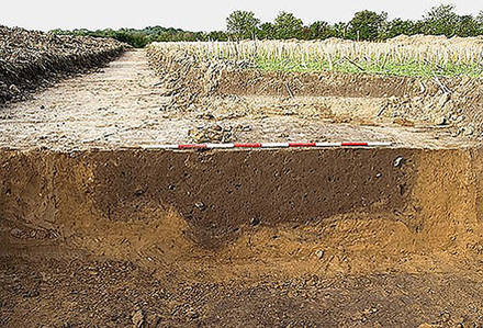 Fig. 1. Ovnanlæg og grube fra bronzealderbebyggelsen Dalbygård. Foto Klaus Hirsch, Museum Sønderjylland Tværsnit af jorden, hvor ovnanlæg og grube ses tydeligt..