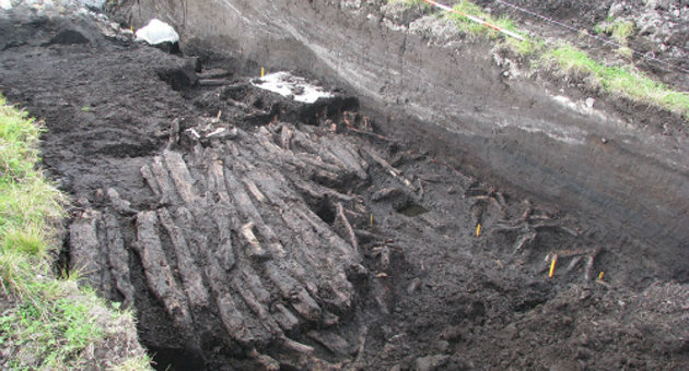 Foto af den 4.600 år gamle plankevej, der ses som bevarede planker i udgravningen. Foto: Museum Østjylland