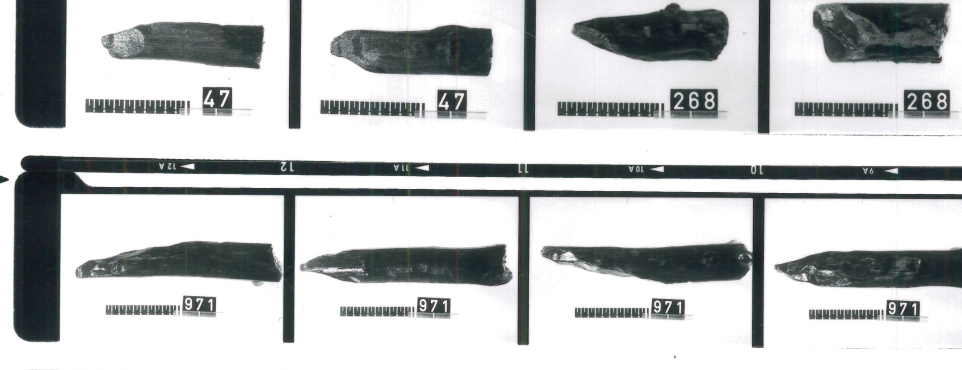 Fig. 3: Fotoregistrering af et lille udsnit af pælene fra Kvorning-lokaliteten, som er tilgået Træteknologisk Studiesamling. Foto: Nationalmuseet