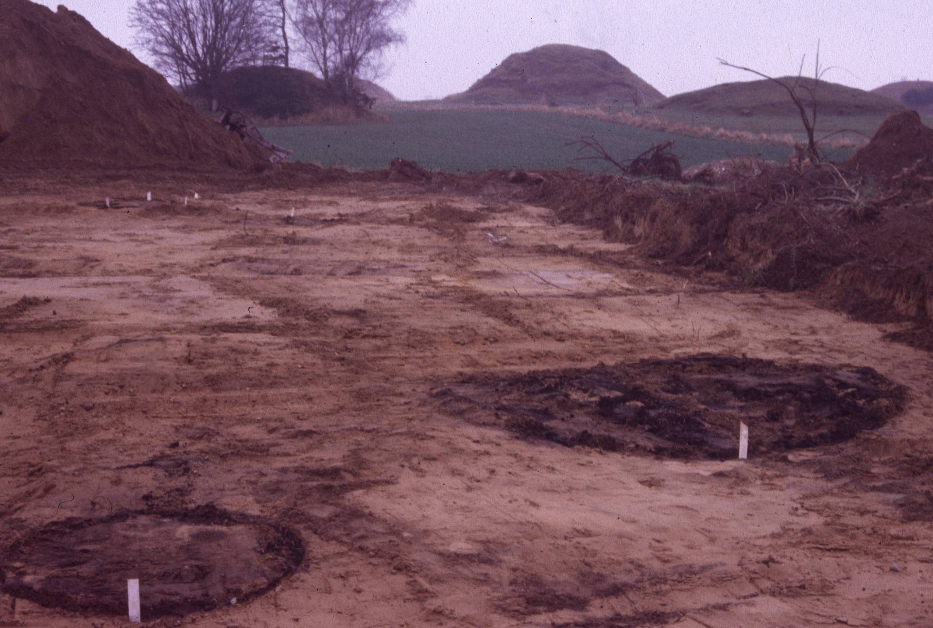 Fig. 8. Markant koncentration af 26 kogestensgruber, som er C14-dateret til 3. årh. f.Kr., dvs. førromersk jernalder, per. II, hvilket også understøttes af keramikken fra anlæggene. Foto: Kjartan Langsted, Museum Nordsjælland.