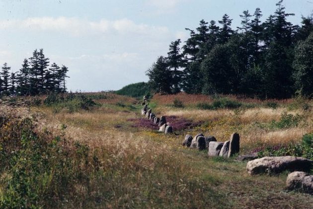 Foto af den lange række af Sten, der danner en tydelig sti over landskabet