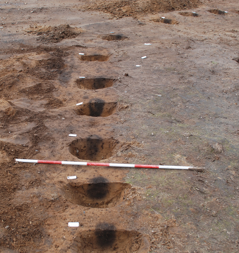 Fig. 9. Snit gennem tætstillede vægstolpehuller i et hus med lerklinede fletværksvægge. Ældre bronzealder. Kallerup hus 3. THY 5035. FF 110303-99 Foto af stoplehuller.