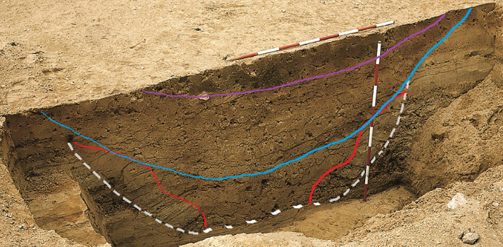 Fig. 7. Systemgrav A 161 fra Sarup I. Hvidt markerer konturer af den oprindelige nedgravning, rødt viser de to nedskredne klumper af jord fra gravens sidevægge, blåt og violet viser spor efter genopgravninger. Figur 7. Systemgrav