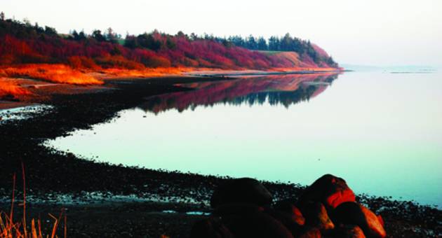 Bronzealderhøjene ligger i idylliske omgivelser i det bakkede landskab ned mod Skibsted Fjord. Foto: Museum Thy Et kig over Skibsted Fjord