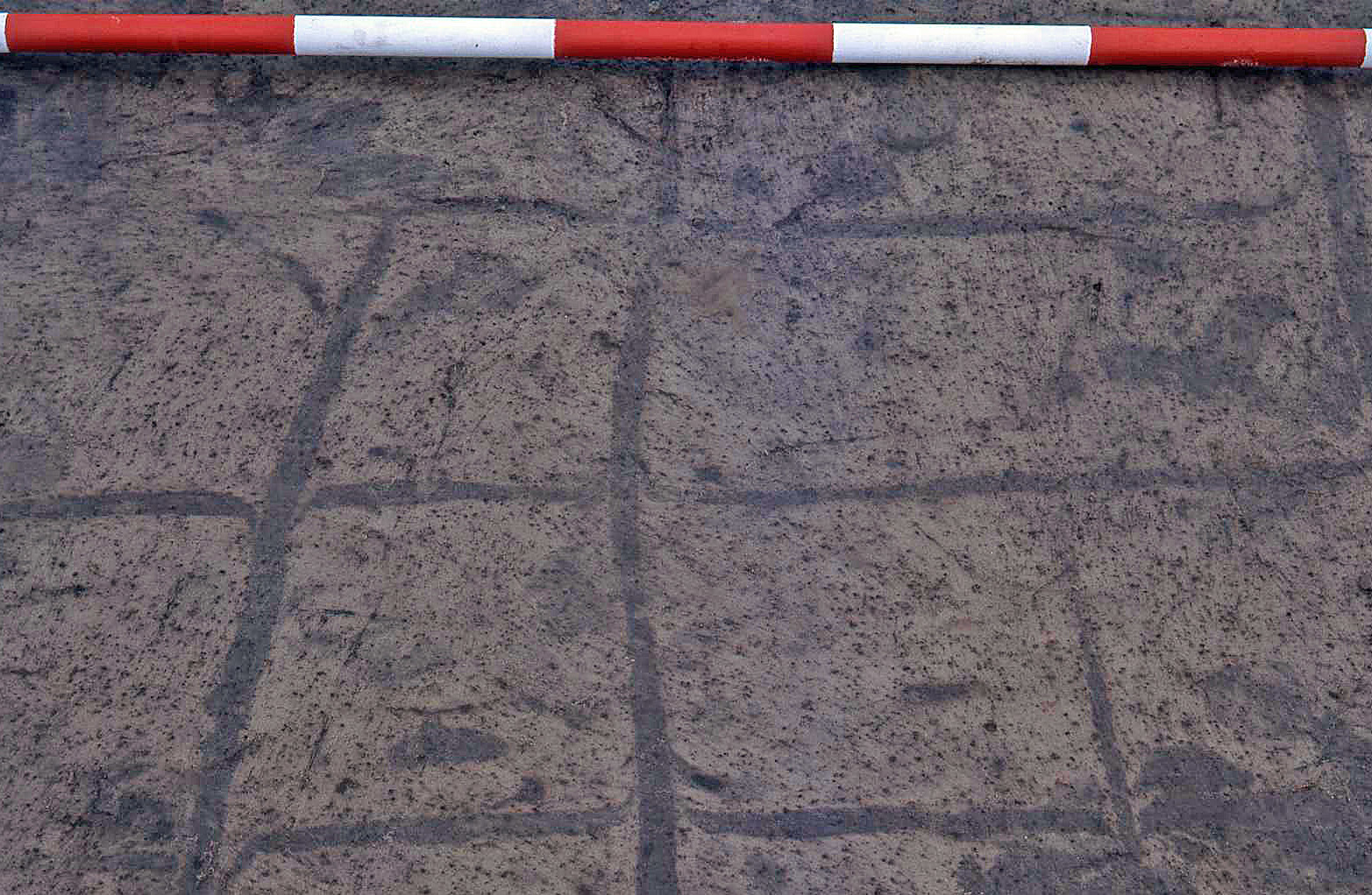 Fig. 1. Pløjning med ard i sandbund ved Bjerre Enge i Nordthy. Et lidt fugtigt område, hvor der kun er pløjet en enkelt gang, i to krydsende retninger. De mørke pletter kan være kreaturspor. Bjerre plads 2, THY 2728, FF 110211-32.