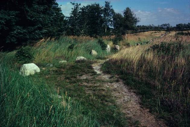 Foto af stenrækken. Efter udgravningerne i 1967 og 1968 restaurerede med stenrækken ved at flytte sten tilbage på deres oprindelige plads, så rækken fremstår, som den gjorde i bronzealderen