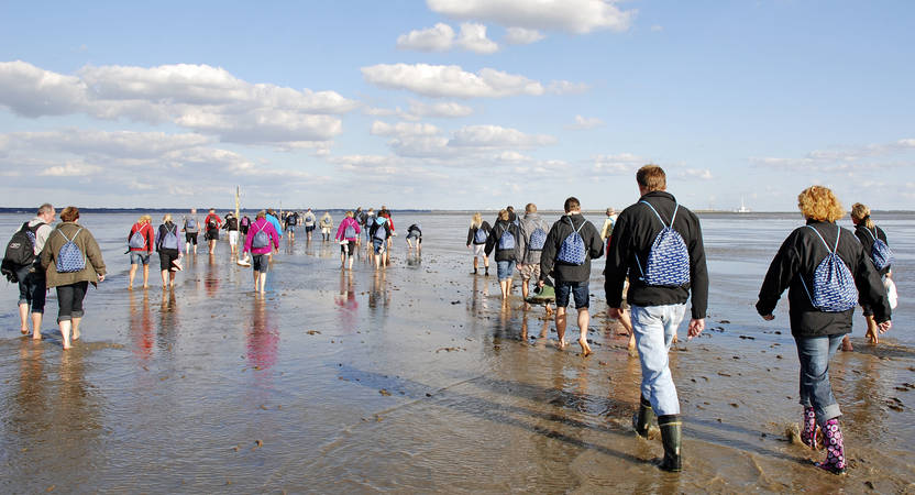Gruppe af mennesker på Låningsvejen fra Ho til Langli, 2010 Foto af mennesker der går i Vadehavet