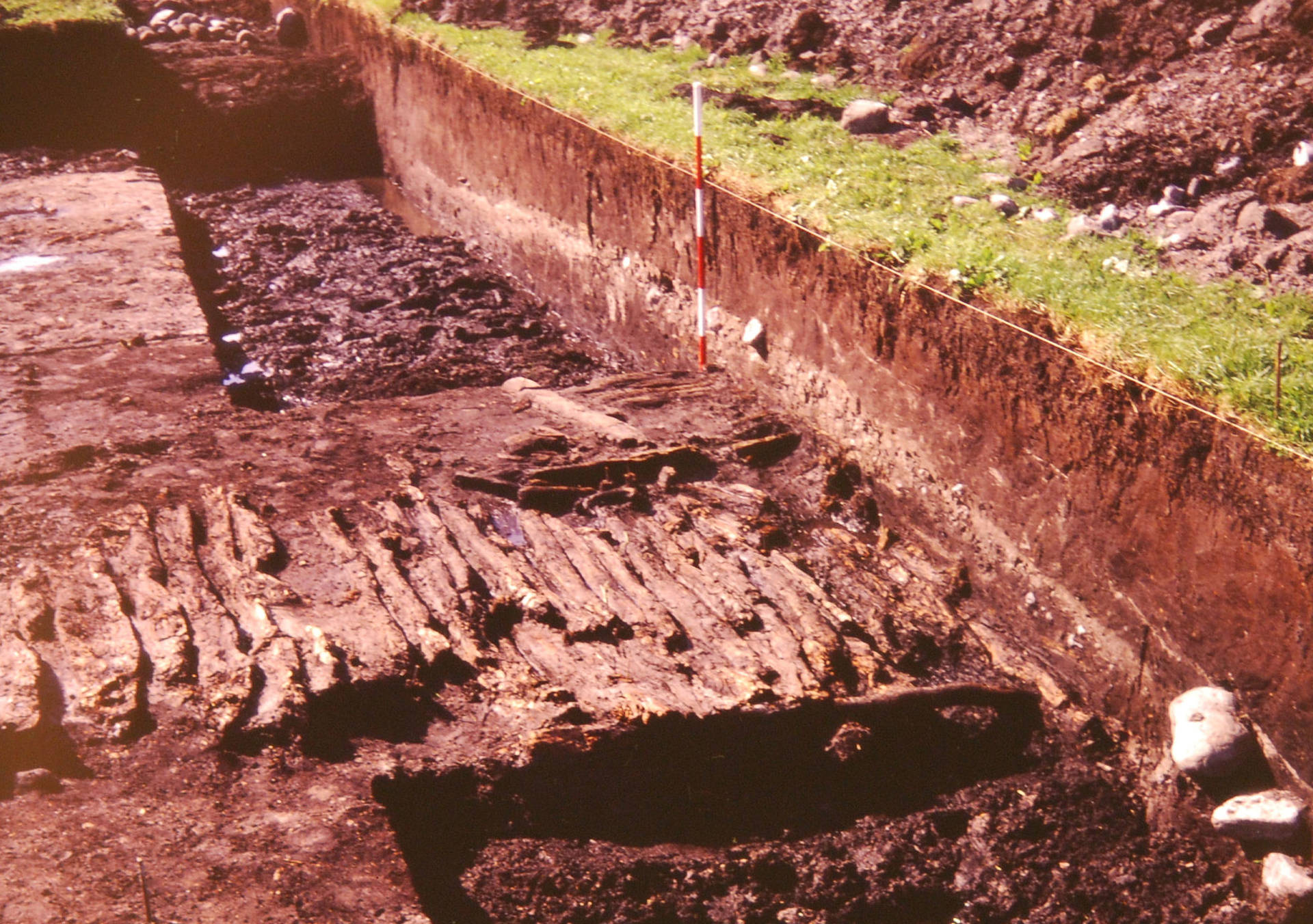 Fig. 5: To faser af plankevej ved Kvorning-vejens sydlige afslutning. Set fra øst. Den ældste fase, midt i billedet, er tydelig, mens den yngste kun skimtes nær landmålerstokken. Foto: VSM 910E414, Viborg Museum