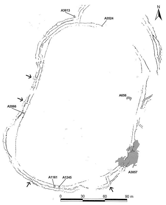 Fig. 4. Palisadeanlæg ved Hyllie, Malmø. Pilene markerer indgange i palisaden. Brink 2009. Grundtegning af palisadeanlæg.