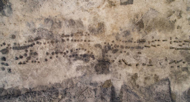 Palisadeanlægget fremstår i dag blot som stolpehuller i jorden. Foto: ROMU Foto af Palisadeanlægget ved udgravningen, hvor palisaden ses som mørke spor i den lyse undergrund. Foto: Roskilde Museum