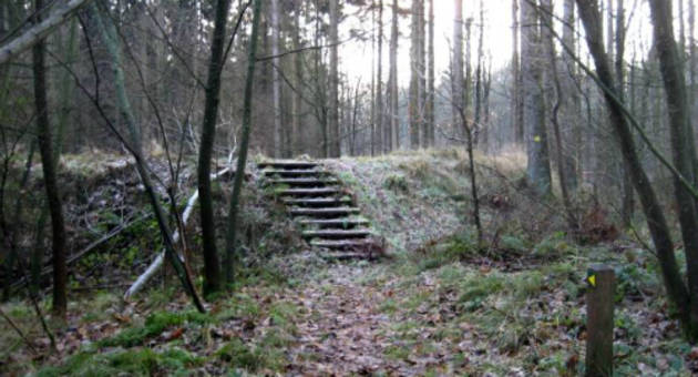 I dag er området, hvor ringborgen i sin tid blev bygget, dækket af skov, så udsynet er ikke så godt, som da den blev bygget i jernalderen. Foto: Thomas Roland, Kulturstyrelsen Foto fra ringborgen, der nærmest skjuler sig imellem træerne