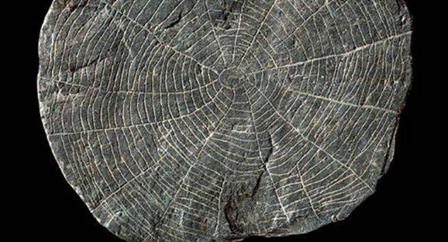 Solsten fra et af stolpehullerne til den runde bygning ved Vasagård. Diameter 4,5 cm. Foto: John Lee, Nationalmuseet. Foto af Solsten fra et af stolpehullerne til den runde bygning ved Vasagård. Diameter 4,5 cm. Foto: John Lee, Nationalmuseet.