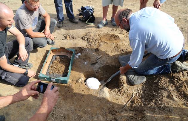 Museets arkæolog tager skatten op med en spade efter den er blevet løsgjort og pakket ind i gipsbandage. Foto: Steen Larsen Foto af museets arkæolog tager skatten op med en spade efter den er blevet løsgjort og pakket ind i gipsbandage. Foto: Steen Larsen