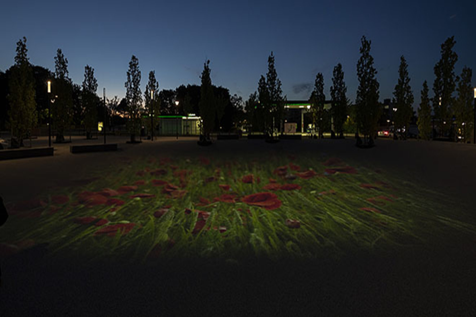 Aftenfoto af kunstværket i Kokkedal, der er en buket røde blomster. 