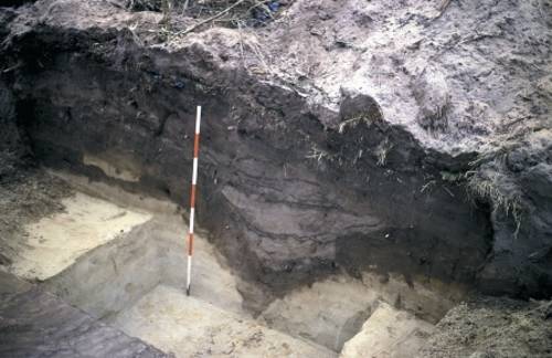 Ejerlavsskel mellem landsbyerne Ottersbøl og Mjolden. Foto: Per Ethelberg, Museum Sønderjylland. Tværsnit af ejerlavsskel.