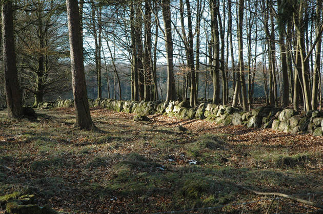 Dige 02 Foto af Stendige i Borup Ris