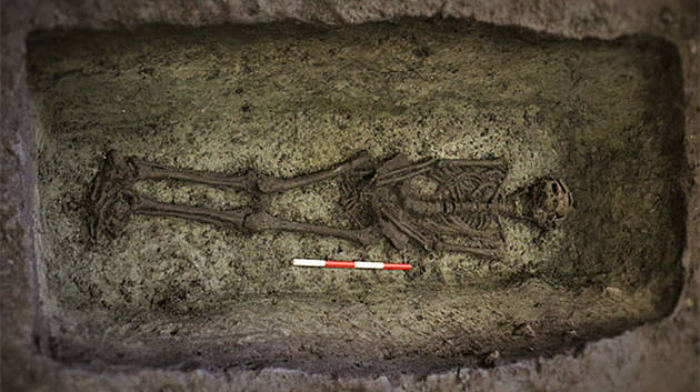 I København fandt arkæologerne nogle af byens ældste kristne indbyggere lige under Rådhuspladsen. Foto: Københavns Museum Foto af skellettet efter byens ældste kristne indbyggere lige under Rådhuspladsen. Foto: Københavns Museum