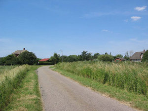 foto af Søndervej, der har et smukt slynget forløb
