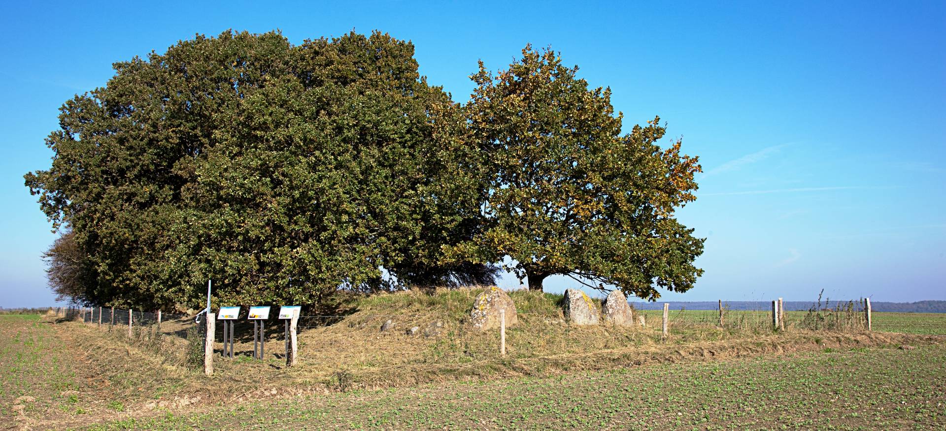 Kellerøddyssen ligger højt i landskabet syd for Tystrup sø. Foto: Kira Krøis Ursem Foto af Kellerøddyssen.