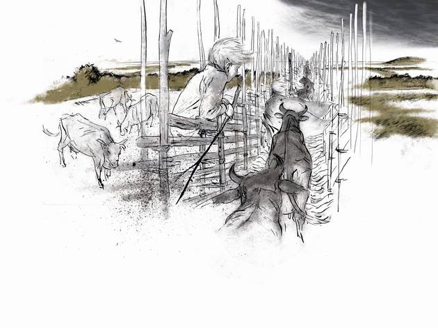 Veje ind til hver mark var nødvendige for dyrkningen og for udkørsel af gødning. Dyrene blev drevet af vejen, når de skulle flyttes til andre folde og græsmarker. Illustration: Sune Elskær Tegning af dyr, der drives mellem to hegn.