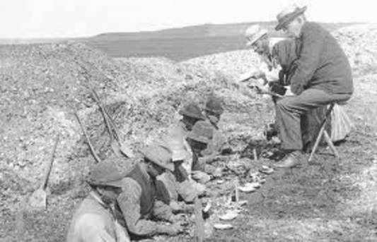 Udgravningen af Ertebølle-køkkenmøddingen. Foto: Nationalmuseets Samlinger Online Foto af udgravningshold.