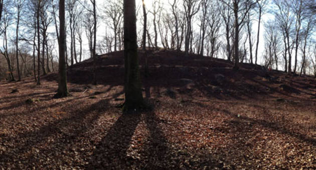 Da der for 3000 år siden blev bygget en tilflugtsborg på toppen af Timmesøbjerg, var området ikke skov. Da var det åbent landskab, så man fra toppen af bakken kunne spejde efter fjende på lang afstand. Foto: Museum Sydøstdanmark Foto af landskabet med toppen af Timmesøgbjerg.