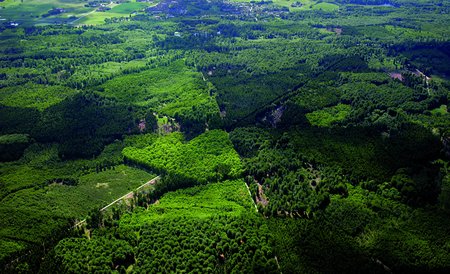 Luftfoto af skoven i Parforcejagtlandskabet i Nordsjælland 