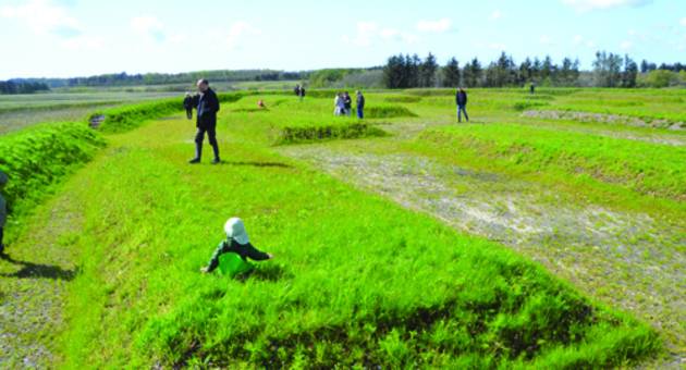 I dag har man markeret de 17 huse og den tidligere vold ved at bygge forhøjninger i landskabet, så man kan se husenes placering i befæstningen. Foto: Kulturstyrelsen Foto af besøgende, der oplever landskabet med de markerede huse