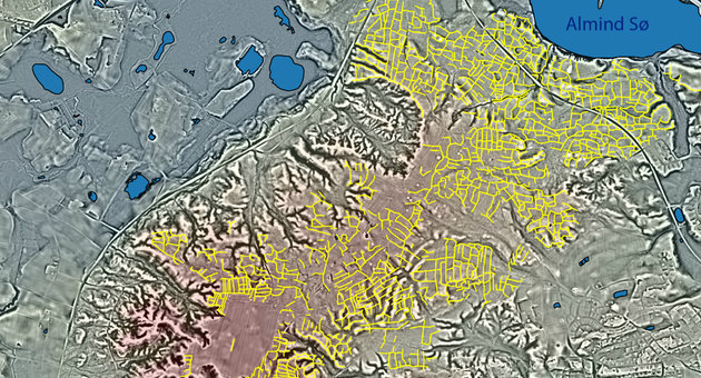 LIDAR-kort over den nordlige del af Vesterskoven, hvor markskellene – i form af små digevolde – er markeret med gult. Grafik: Museum Silkeborg