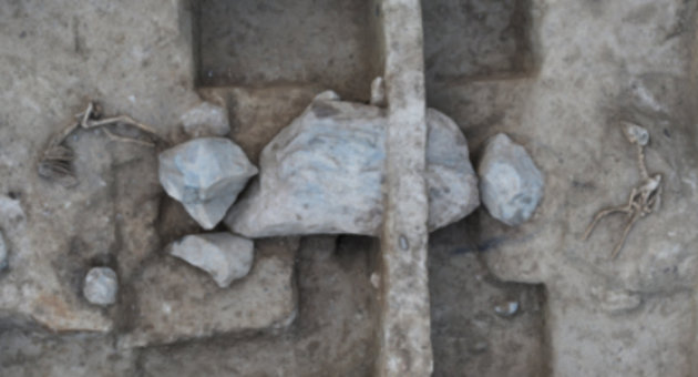 Foto af den stendækkede grav med et halvt får i hver ende. Foto: Kroppedal Museum