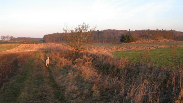 Foto af Et typisk eksempel på et digelandskab. Kragehøj ved Vorning, Midtjylland.