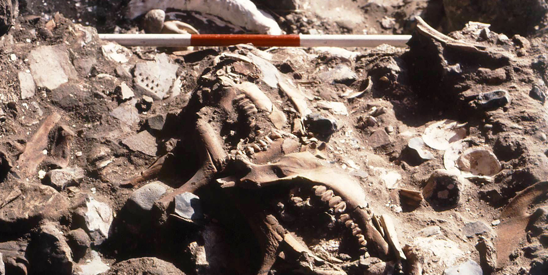 Fig. 1. Kainsbakke A47, deponering af underkæber fra hjorte. Foto: Museum Østjylland. Foto af underkæber fra hjorte.