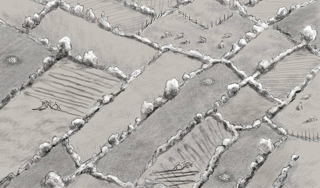 De mange markskel har gennem århundreder udviklet sig til lave jordvolde, der den dag i dag står som tydelige vidnesbyrd på oldtidens jordbrug. Illustration: Sune Elskær Illustration af et opdyrket oldtidslandskab med små marklodderde