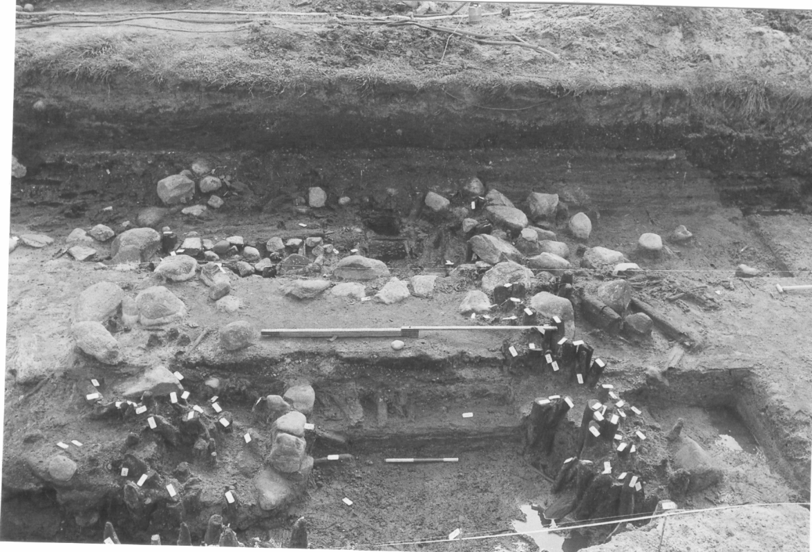 Fig. 4: Vadestedet set fra nord. I forgrunden stikker strøer ud af profilen. Strøerne ligger umiddelbart over en planke fra det nedre plankelag. Foto: VSM 910E5400, Viborg Museum