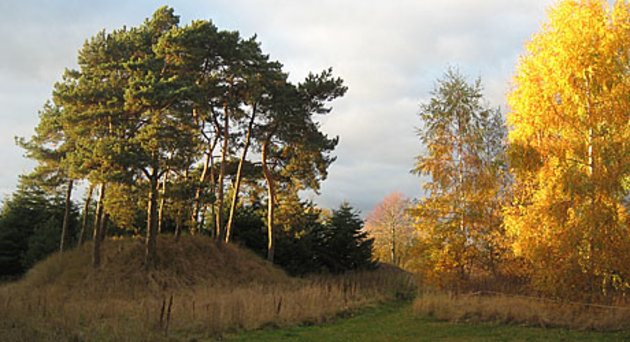 Foto af Gravhøjene ved Himlingøje i efterårsfarver