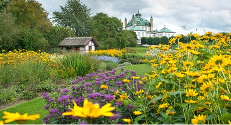 Fredensborg Slotshave. Foto: Thomas Rahbæk Fredensborg Slot set med gule og lilla stauder i forgrunden