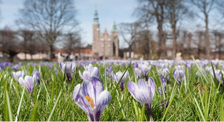 Kongens Have i København. Foto: Thomas Rahbek Kongens Have i København. Foto: Thomas Rahbek