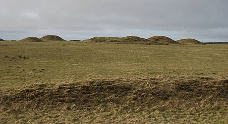 Ved Ramme Dige ligger også en stor højgruppe fra bronzealderen Foto af højgrupperne ved Ramme Dige.