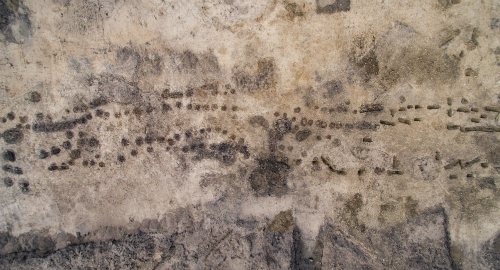 Palisadeanlægget fremstår i dag blot som stolpehuller i jorden. Foto: ROMU Foto af Palisadeanlægget ved udgravningen, hvor palisaden ses som mørke spor i den lyse undergrund. Foto: Roskilde Museum