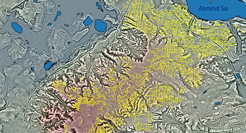 LIDAR-kort over den nordlige del af Vesterskoven, hvor markskellene – i form af små digevolde – er markeret med gult. Grafik: Museum Silkeborg LIDAR-kort over den nordlige del af Vesterskoven, hvor markskellene – i form af små digevolde – er markeret med gult. Grafik: Museum Silkeborg