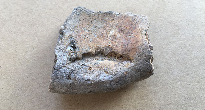 Tandmærkerne er afsat for 5000 år siden. Formentlig af en kvinde, der stadig var i live eller død kort tid forinden. Foto: Museum Lolland-Falster Tandmærkerne er afsat for 5000 år siden. Formentlig af en kvinde, der stadig var i live eller død kort tid forinden. Foto: Museum Lolland-Falster