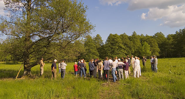 En gruppe mennesker i naturen